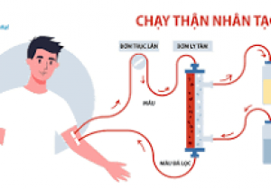 Về việc mời chào giá các mặt hàng thiết bị y tế  sử dụng trong thận nhân tạo – lọc máu - ECMO năm 2025-2026 tại Bệnh viện Đa khoa khu vực miền núi phía Bắc Quảng Nam